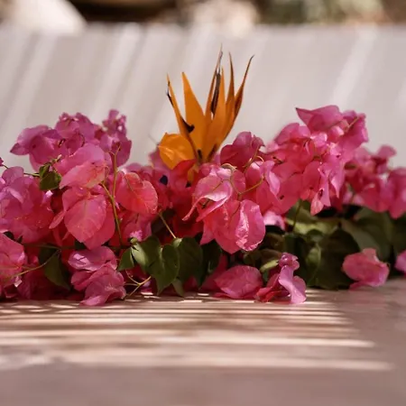 Sorriso - Beach, Seaview, Pool * Plaka (Naxos)