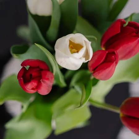 빌라 Villa Sorriso - Beach House, Seaview, Pool Pláka