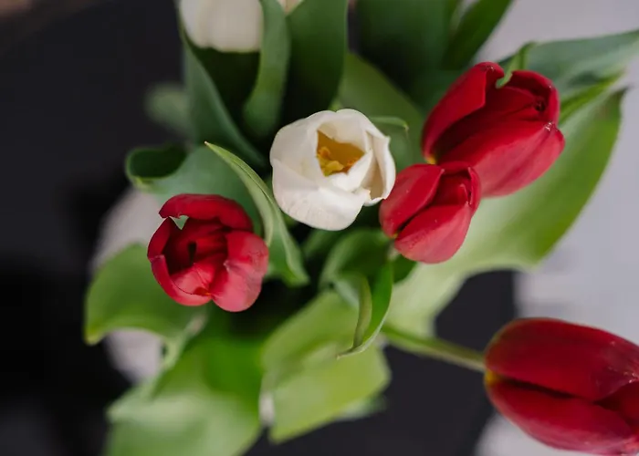 Villa Sorriso - House, Seaview, Pool Pláka